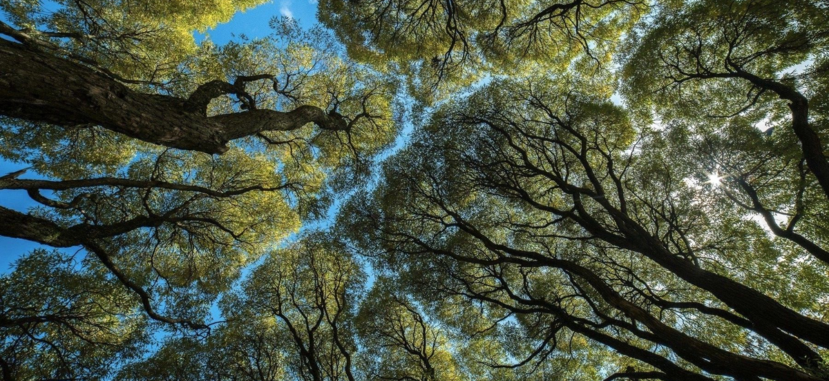 Nourishing Daily Life - Respecting The World We Share